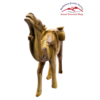 IMG_1441-PhotoRoom.png-PhotoRoom-500x500-1-300x300
