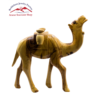 Camel with Saddle