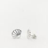 seashells